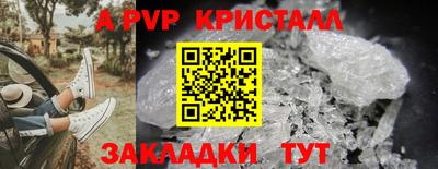 стаф Камышлов