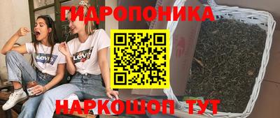 стаф Камышлов