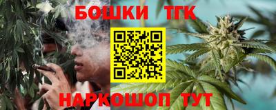 стаф Камышлов
